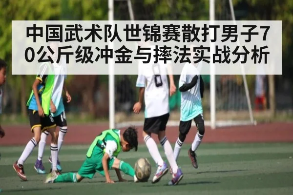 中国武术队世锦赛散打男子70公斤级冲金与摔法实战分析